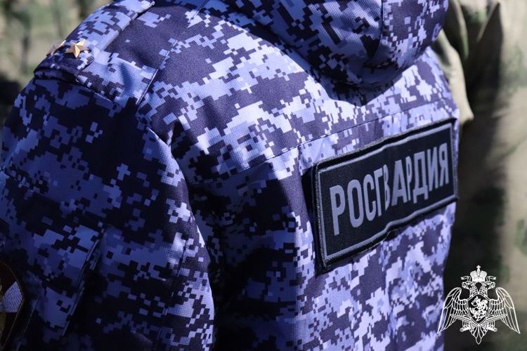 В Йошкар-Оле сотрудники Росгвардии задержали мужчину, разыскиваемого правоохранительными органами г.Чебоксары