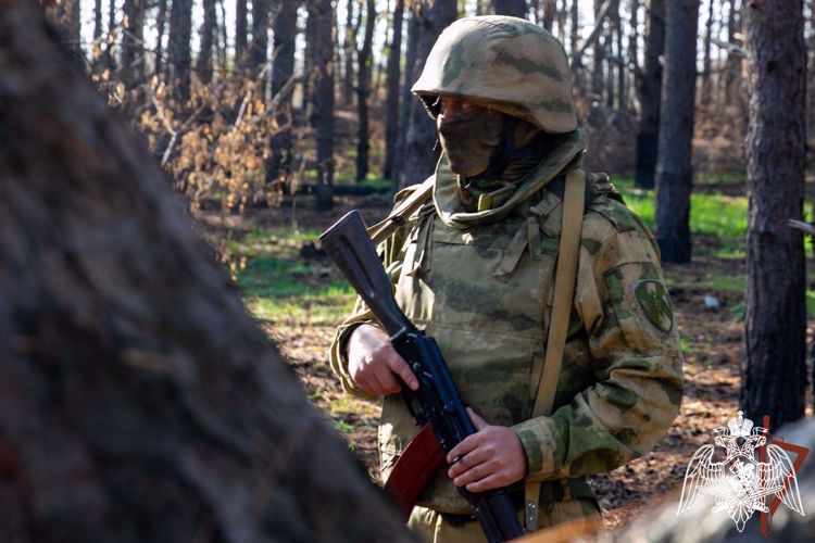 Росгвардия изъяла оружие и выявила 13 пособников ВСУ в Херсонской и Запорожской областях