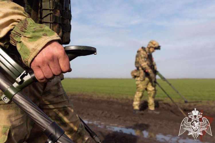 Росгвардия показала работу саперов в районе специальной военной операции