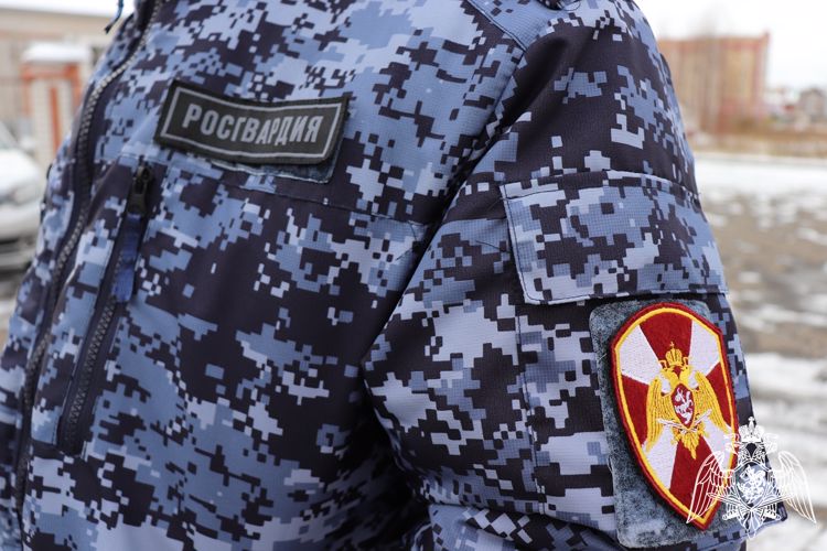В Йошкар-Оле сотрудники Росгвардии задержали гражданина, объявленного в розыск