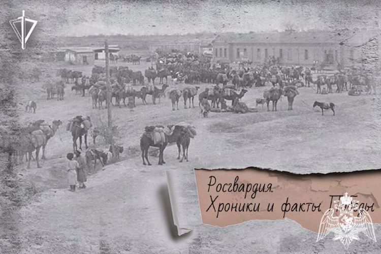 В мае 1933 года в каракумских песках воины-чекисты разгромили самую крупную из последних басмаческих банд