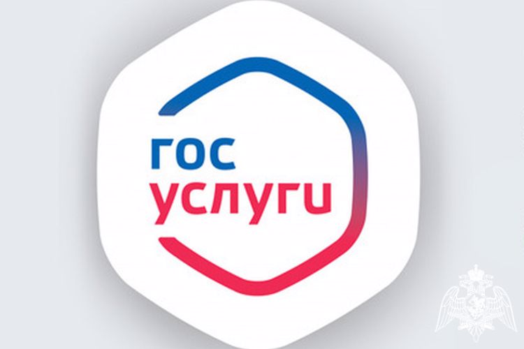 Росгвардия информирует о возможности регистрации списанного оружия через портал Госуслуг