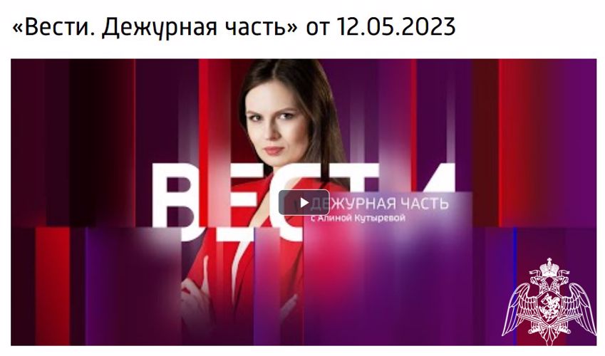 В Марий Эл сотрудники Росгвардии задержали гражданина, ударившего ножом своего знакомого