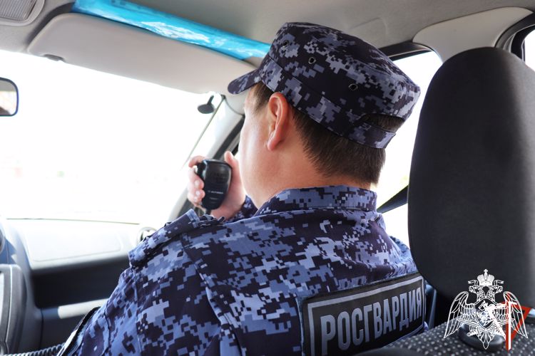 В Йошкар-Оле сотрудники Росгвардии задержали гражданина, подозреваемого в хищении товара
