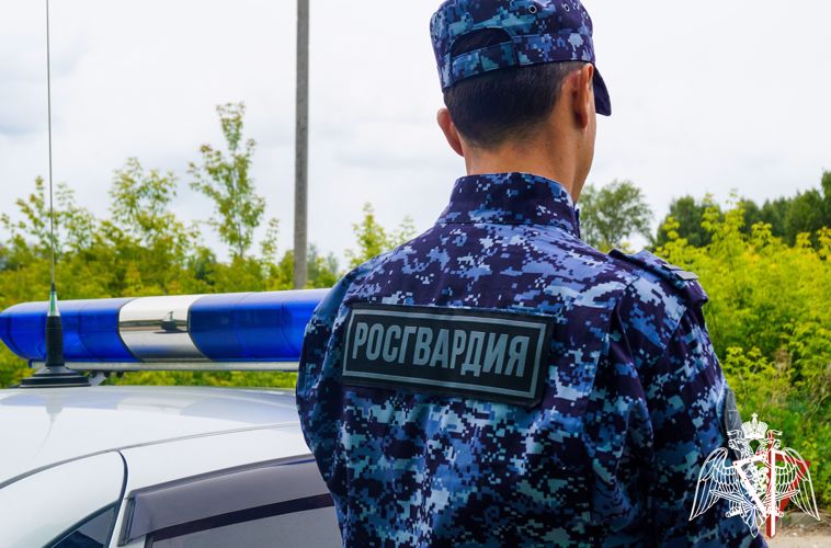 В Йошкар-Оле сотрудники Росгвардии задержали гражданина, подозреваемого в хищении товара
