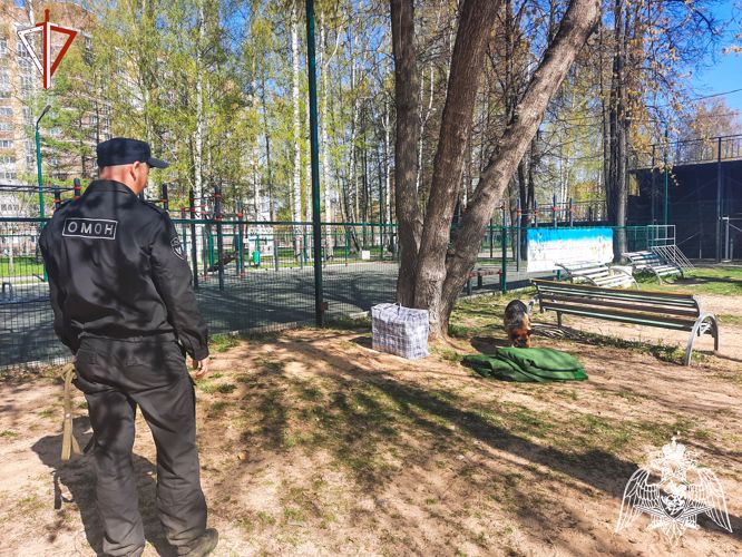 Сотрудники марийского  ОМОН «Таир» Росгвардии отмечают профессиональный праздник
