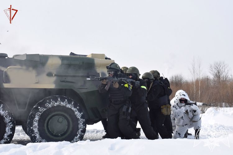 Профессиональный праздник отмечают сотрудники СОБР «Берсерк» Управления Росгвардии по Республике Марий Эл