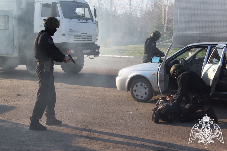 Профессиональный праздник отмечают сотрудники СОБР «Берсерк» Управления Росгвардии по Республике Марий Эл
