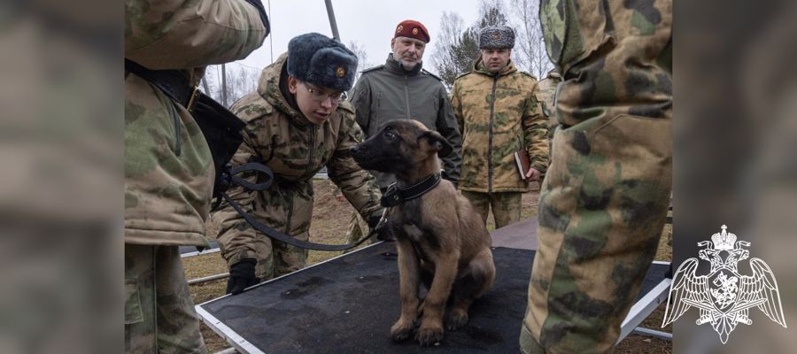 Генерал-лейтенант Алексей Воробьев совершил рабочую поездку в учебные заведения Росгвардии