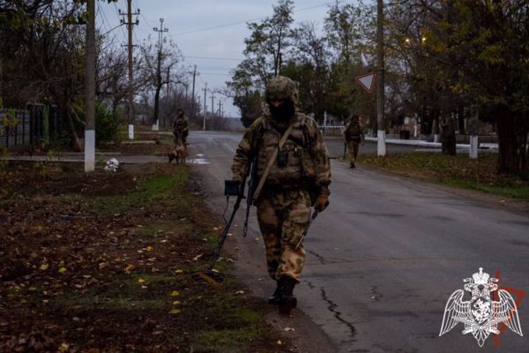 Сапёры Росгвардии обнаружили за месяц почти две тысячи взрывоопасных предметов в зоне СВО