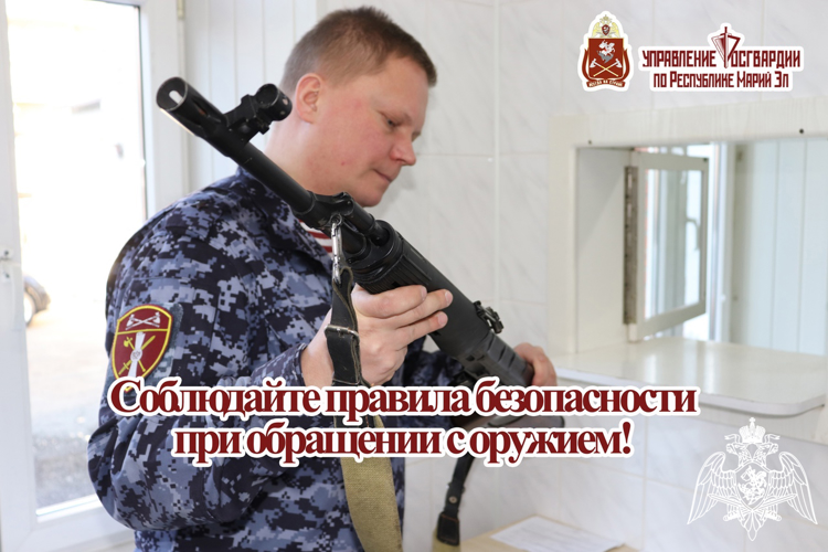 Сотрудники Центра лицензионно-разрешительной работы Управления Росгвардии по Республике Марий Эл напоминают гражданам о мерах предосторожности при обращении с оружием