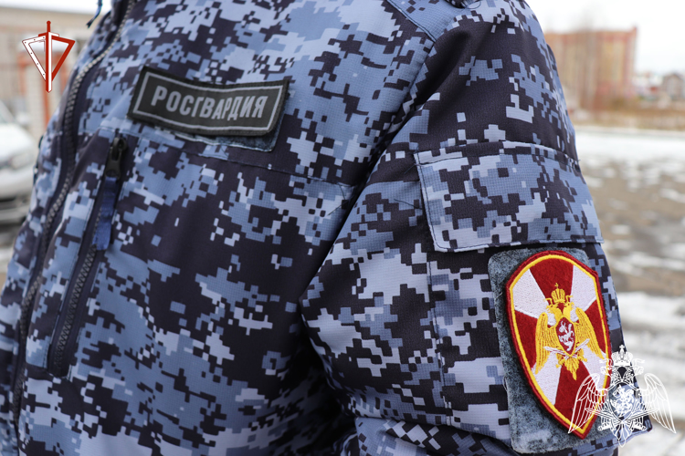 В г. Волжск (Марий Эл) сотрудники Росгвардии задержали  объявленного в федеральный розыск гражданина
