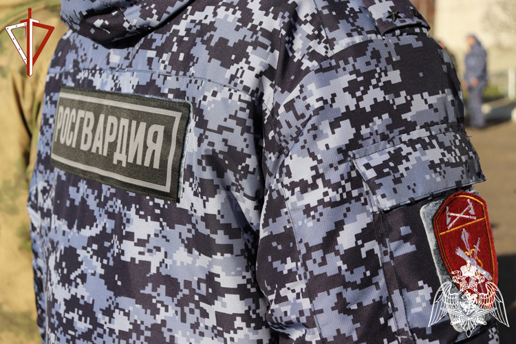 В Йошкар-Оле сотрудники Росгвардии задержали гражданина, объявленного в федеральный розыск 