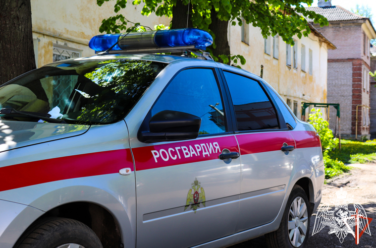 В Марий Эл сотрудники Росгвардии задержали гражданина, скрывавшегося от исправительных работ