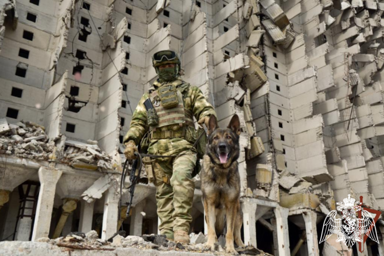 Росгвардейцы обезвредили боеприпасы на повреждённом складе вооружения в Херсонской области