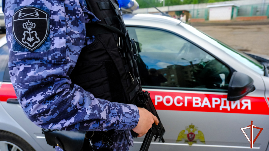 В Йошкар-Оле сотрудники Росгвардии задержали гражданина, подозреваемого в хищении товара из магазина 