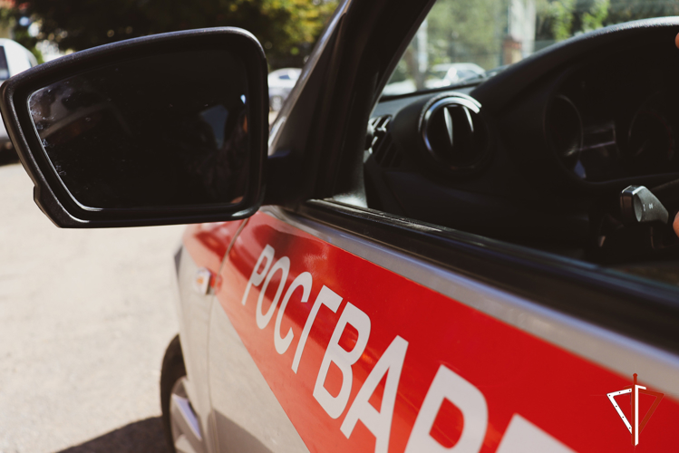 Росгвардейцы пресекли движение автомобиля под управлением нетрезвого водителя в Марий Эл 