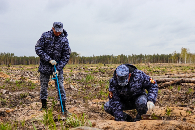 Росгвардейцы активно поддержали международную акцию «Сад памяти» в Йошкар-Оле 