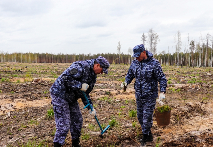 Росгвардейцы активно поддержали международную акцию «Сад памяти» в Йошкар-Оле 