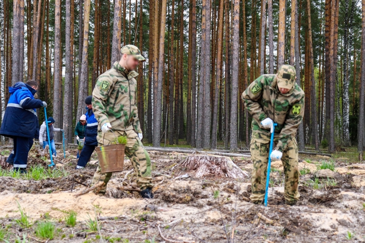 Росгвардейцы активно поддержали международную акцию «Сад памяти» в Йошкар-Оле 