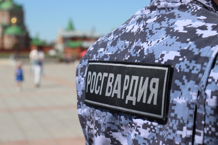В Марий Эл сотрудники вневедомственной охраны Росгвардии за прошедший месяц задержали более 40 нарушителей