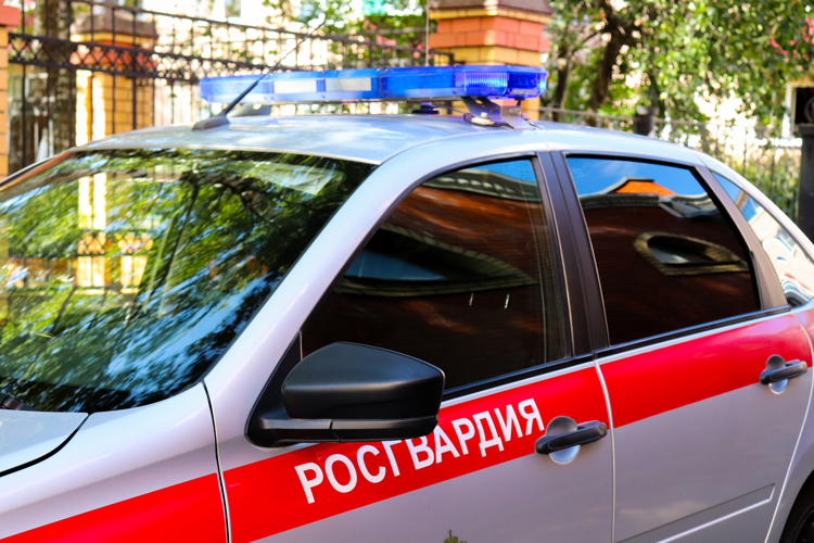Сотрудники Росгвардии задержали гражданина, находящегося в федеральном розыске 