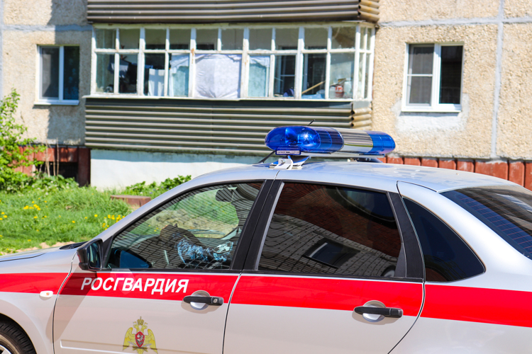 Сотрудники Росгвардии задержали жителя Марий Эл, уклонявшегося от административного надзора