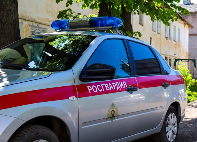В Марий Эл сотрудники Росгвардии задержали гражданина, находящегося в федеральном розыске 