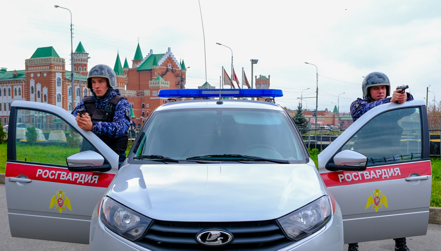 29 октября - День образования подразделений вневедомственной охраны Росгвардии