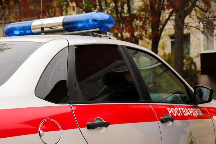 В Йошкар-Оле росгвардейцы задержали автонарушителя 