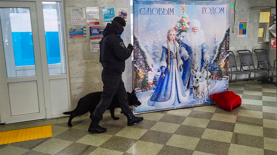 Росгвардия в Йошкар-Оле обеспечивала безопасность сказочной атмосферы во время прибытия Поезда Деда Мороза