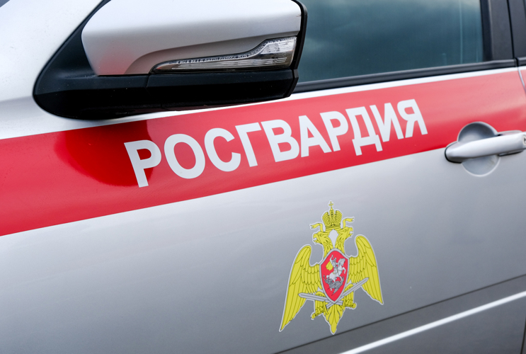 В Йошкар-Оле росгвардейцы задержали гражданина, подозреваемого в краже товара из супермаркета