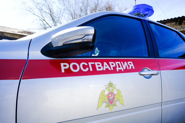 В Марий Эл сотрудники Росгвардии задержали гражданина, подозреваемого в краже из магазина