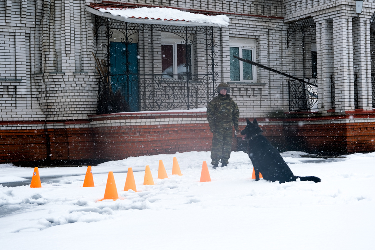 Росгвардейцы Марий Эл выполнили поставленные задачи в ходе всероссийских учений в образовательных организациях