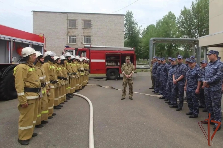 Учебно-методический сбор с начальниками инспекций пожарной безопасности Приволжского округа Росгвардии прошел с участием представителя Марий Эл