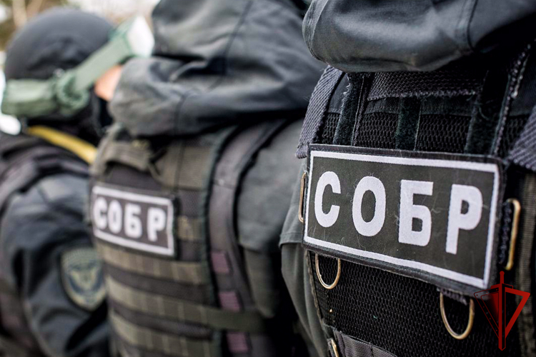 В Йошкар-Оле при содействии спецназа Росгвардии задержан поджигатель иномарки (видео)