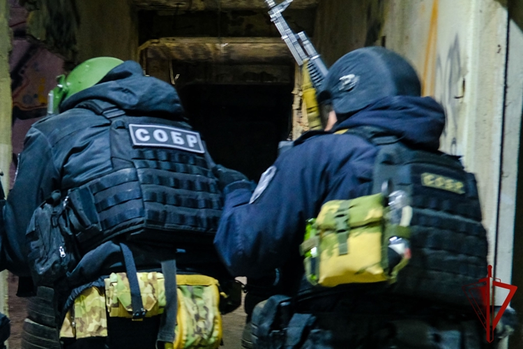 В Йошкар-Оле при содействии спецназа Росгвардии задержан поджигатель иномарки (видео)