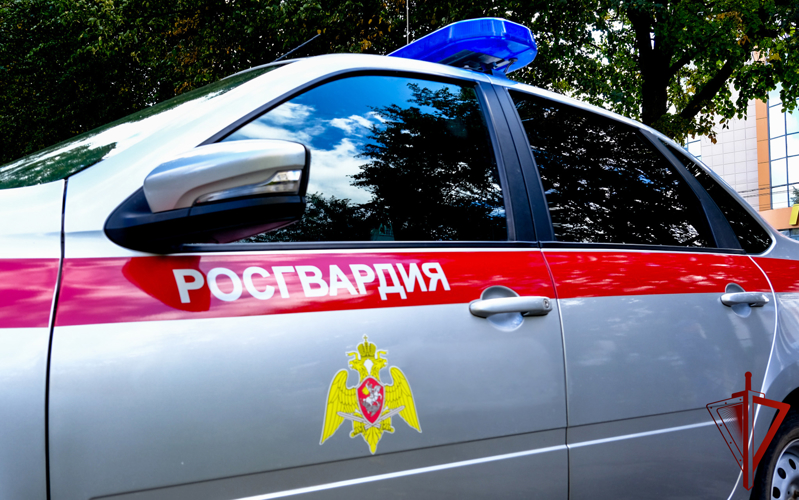 В Марий Эл сотрудники Росгвардии задержали гражданку, находящуюся в федеральном розыске