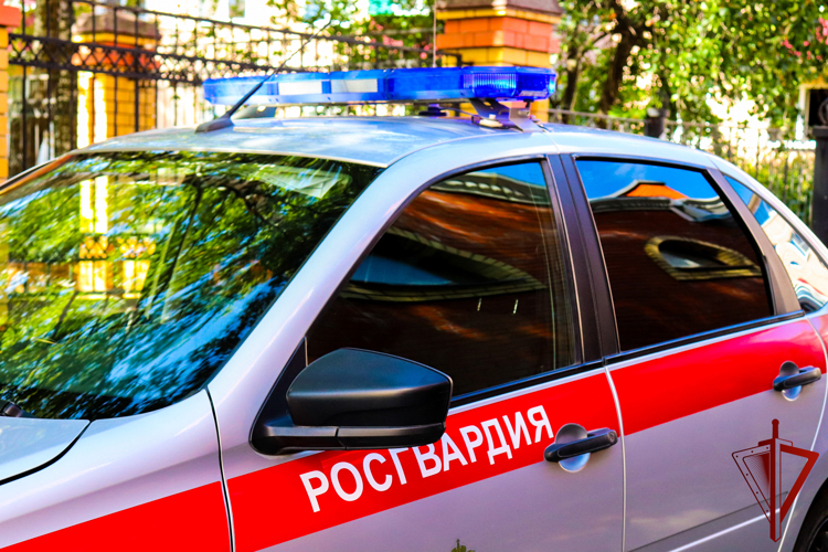 В Марий Эл сотрудники вневедомственной охраны Росгвардии за прошедший месяц задержали 45 нарушителей