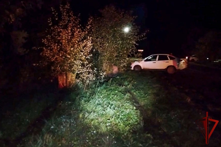 В Сернурском районе сотрудница Росгвардии оказала помощь пострадавшему в ДТП