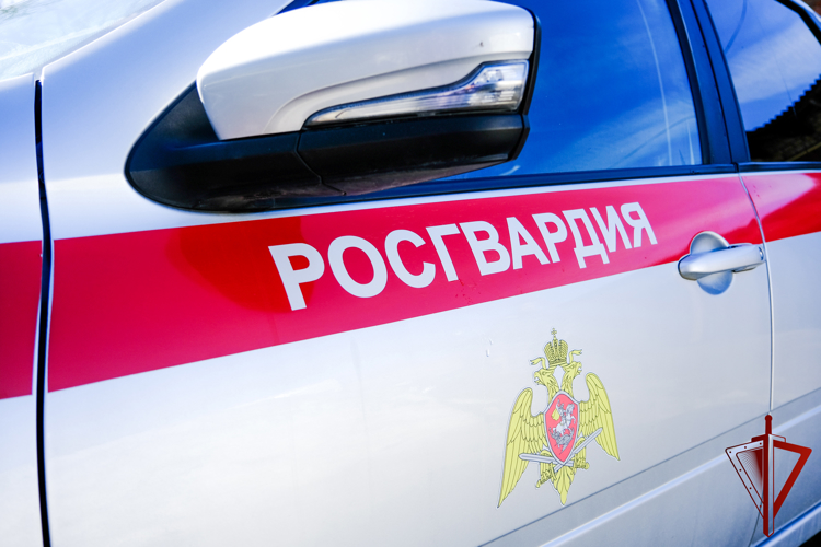 Сотрудники Росгвардии задержали нарушителя общественного порядка в Йошкар-Оле
